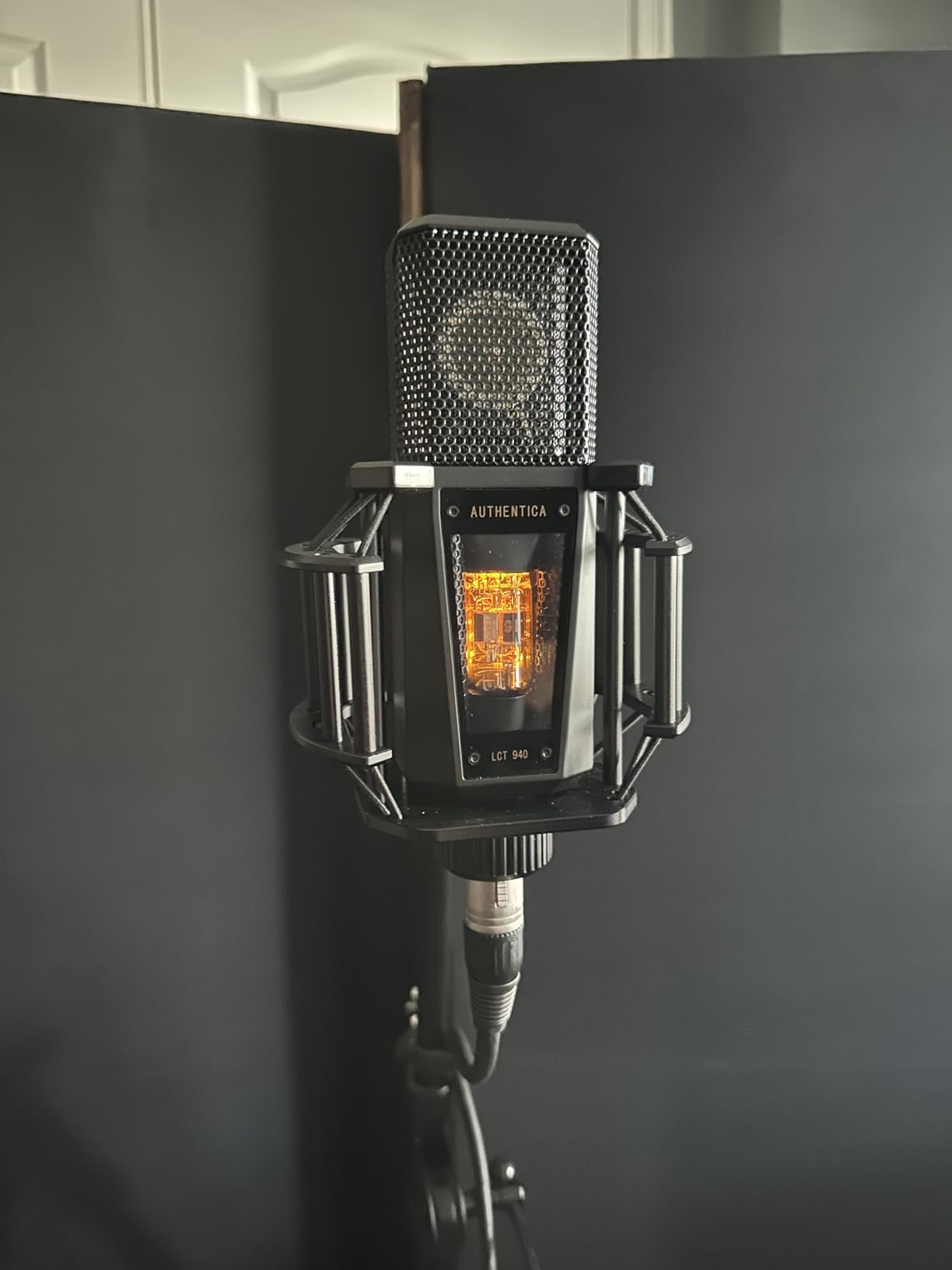 LEWITT LCT 940 FET/Tube Condenser Microphone customer photo 1