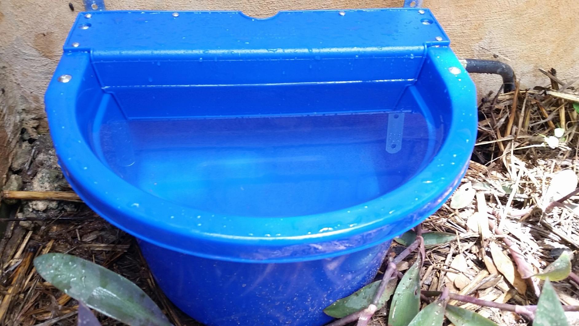 Little Giant® Automatic Animal Waterer | DuraMate Float Controlled Automatic Waterer for Livestock | Heavy Duty and Durable | Made in USA | 4 Gallon (Green, 4 Gallon) customer photo 2