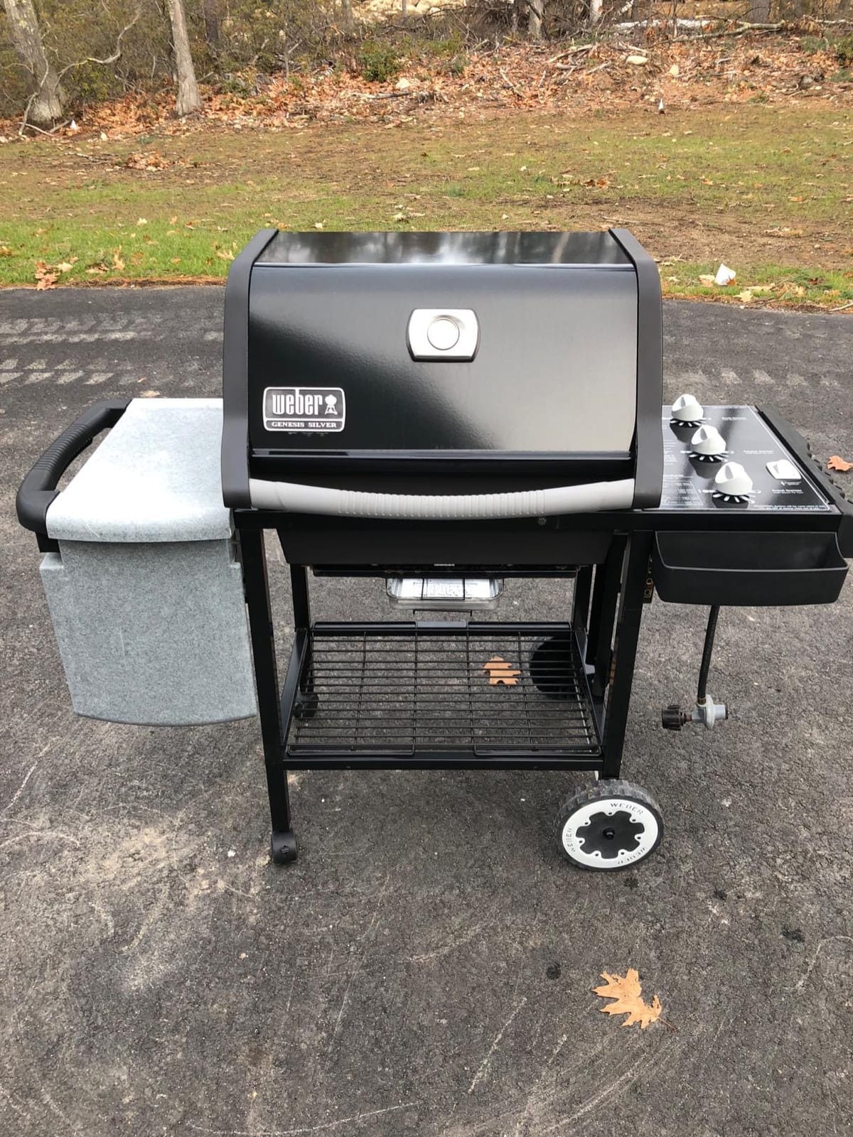 Weber® Stainless-Steel Cooking Grates for Select Spirit Gas Grills customer photo 2