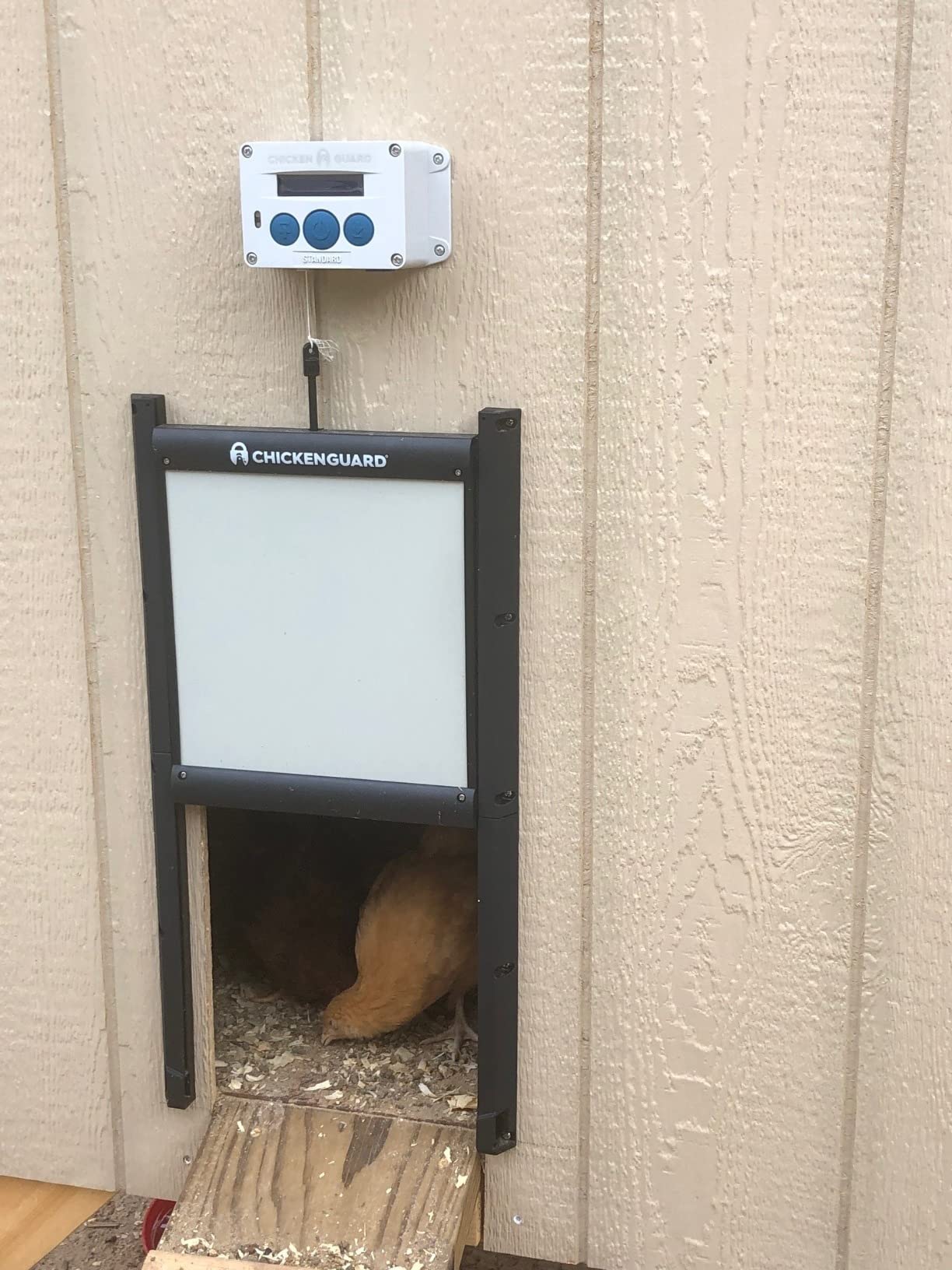 ChickenGuard Automatic Chicken Coop Door Openers, Timer/Light-Sensor, Auto-Stop Safety Feature (Standard) customer photo 1