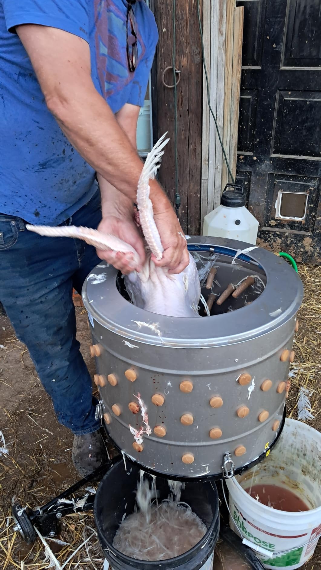 Yardbird 21833 Chicken Plucker, Stainless Steel, 1.5 HP Motor, 20-inch Drum, 110 Natural Soft Fingers, Integrated Irrigation Ring, Transport Wheels, Simple Debris Collection customer photo 1