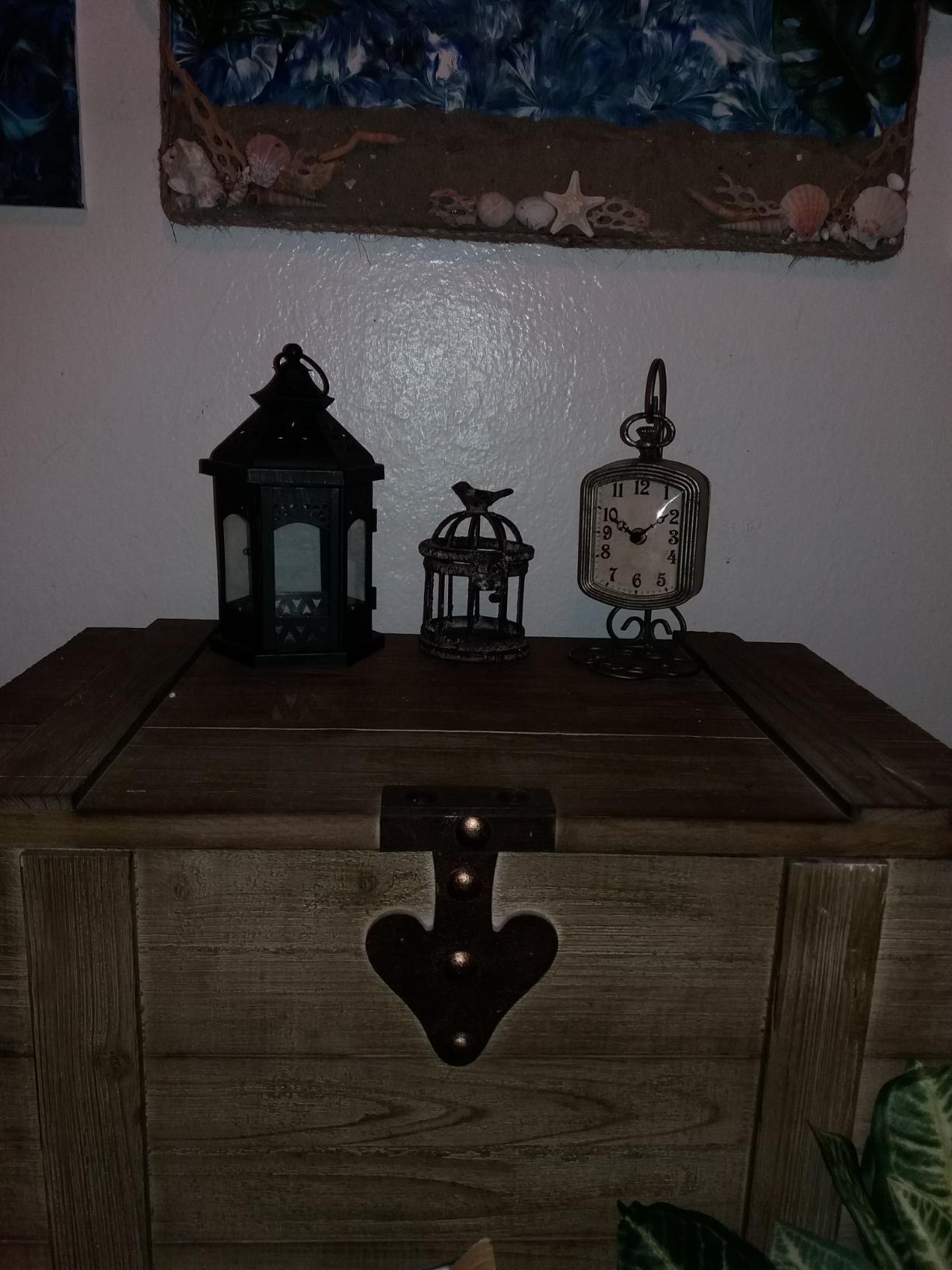 Household Essentials Large Wooden Storage Trunk, Weathered Wood with Paint Finish, Hinged Lid with Metal Accents customer photo 1