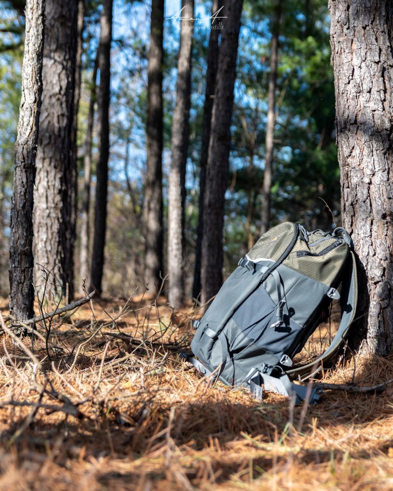 Lowepro LP37016-PWW Flipside Trek BP 450 AW Backpack for Camera, Grey/Dark Green customer photo 2