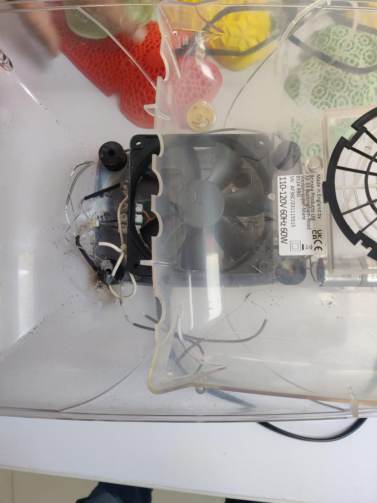 Brinsea Ovation 28 EX Egg Incubator, Automatic Turning & Humidity Control customer photo 1