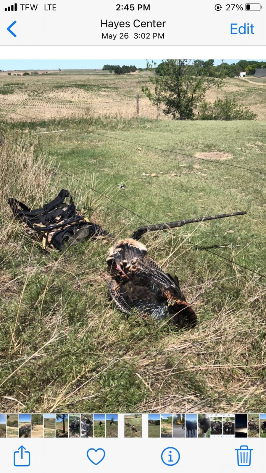 Ameristep Throwdown Ground 3D Leafy Die-Cut Camo Ultra-Compact Easy-Setup Three-Panel Low-Noise Run-and-Gun 2-Person Hunting Blind customer photo 2
