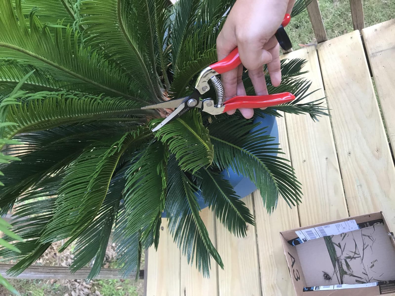 gonicc Micro-Tip Pruning Snips(GPPS-1008), Stainless Steel Garden Shears customer photo 2