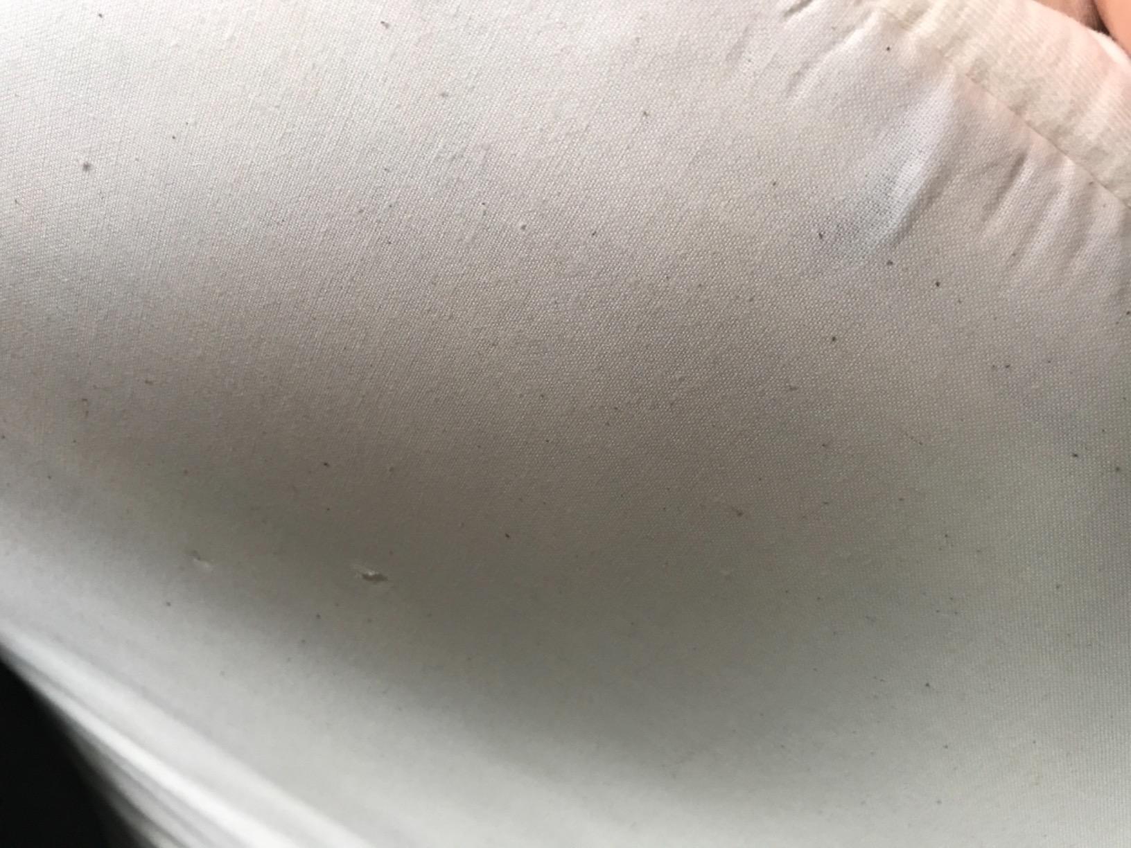 Happsy Organic Hybrid Mattress - Natural Latex - Medium Firm Mattress with Encased Coil Layers for Universal Comfort - Bed-in-a-Box - Queen customer photo 2