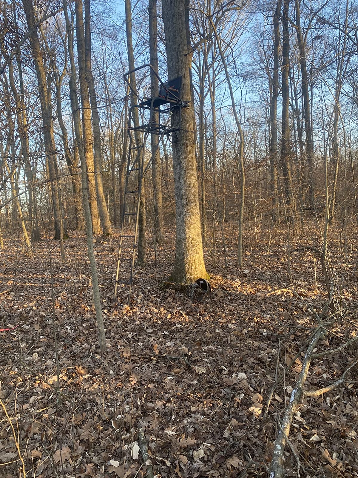BIG GAME 2 Person Ladder Stand customer photo 2