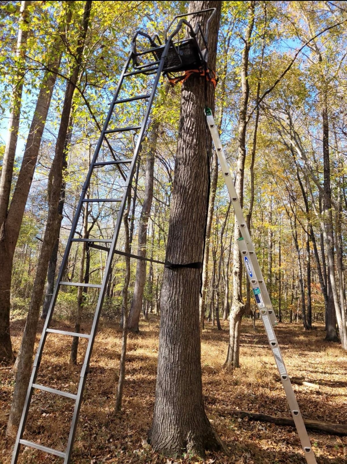 BIG GAME 2 Person Ladder Stand customer photo 1
