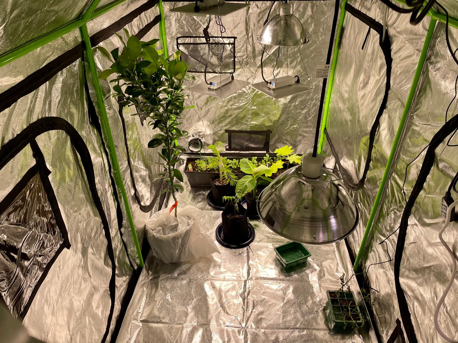 VIVOSUN 4x5 Grow Tent 60
