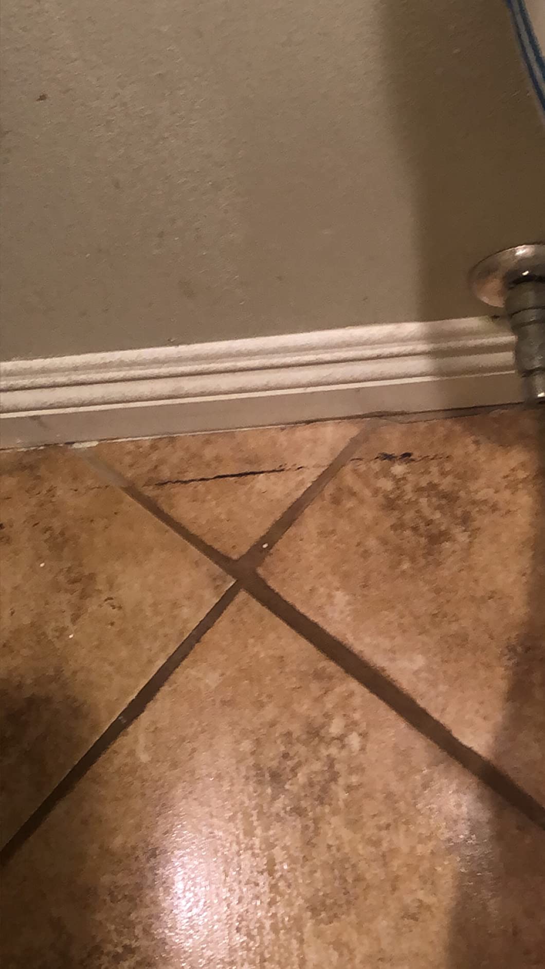 Bissell PowerFresh Vac & Steam All-in-One Vacuum and Steam Mop, 2747A customer photo 2