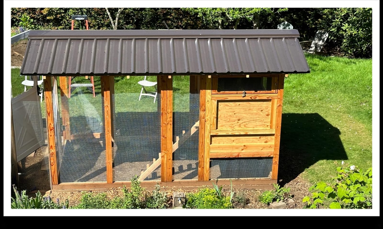 RUN-CHICKEN Door T50 – Automatic Chicken Coop Door Opener, Battery Powered & Weatherproof Aluminum, Smart App & Timer Control, Predator Proof, Easy Install, Reliable All-Season Performance (Brown) customer photo 1