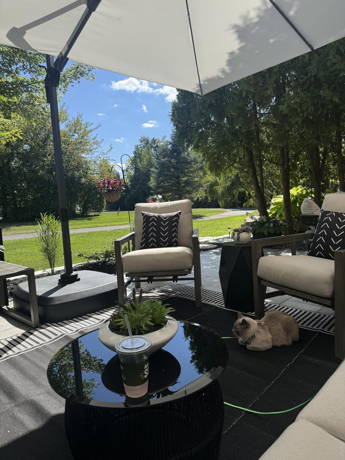 nuLOOM Asha Light Brown Bordered Indoor/Outdoor Area Rug, 8' x 10' customer photo 2
