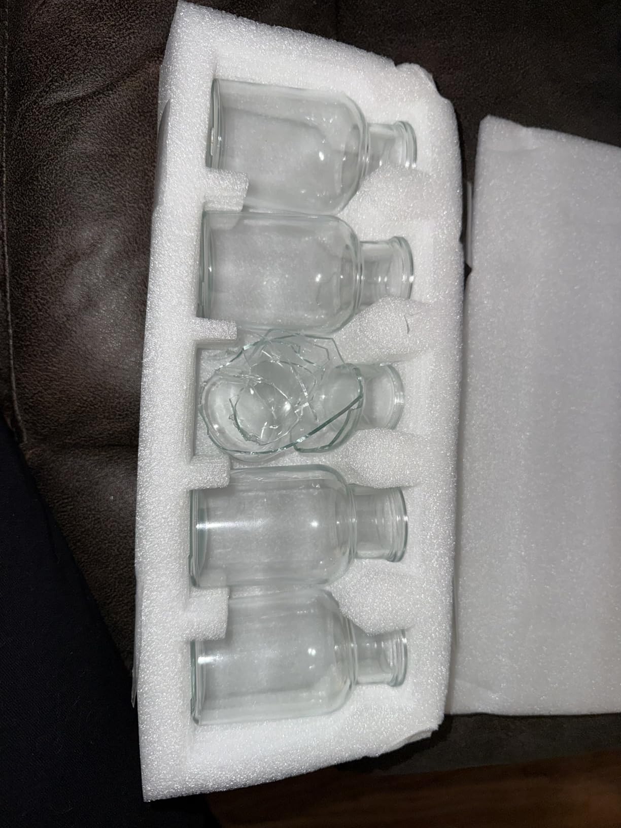 Mkono Propagation Stations, 5 Jars Desktop Glass Plant Terrarium with Stand customer photo 1
