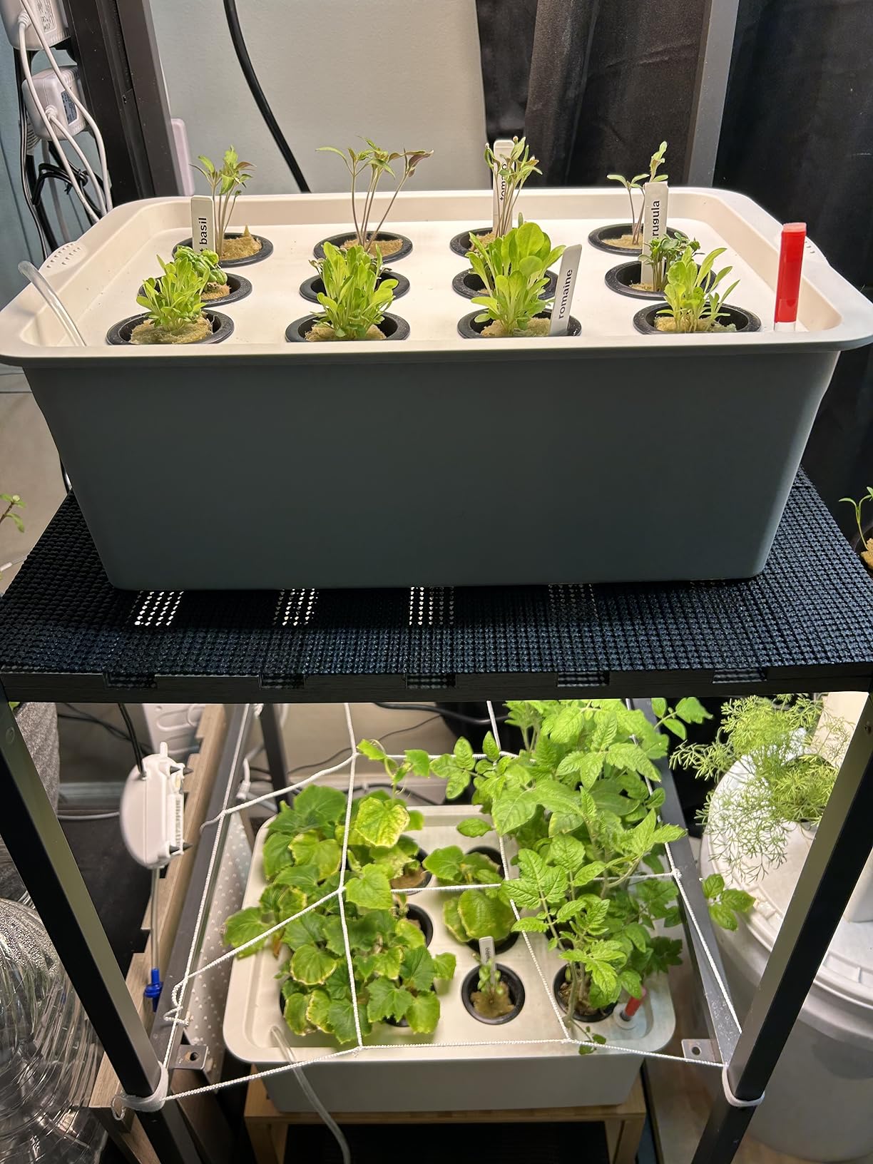 MAOPINER Indoor Hydroponic Grow Kit 12 Sites Deep Water Culture System customer photo 1