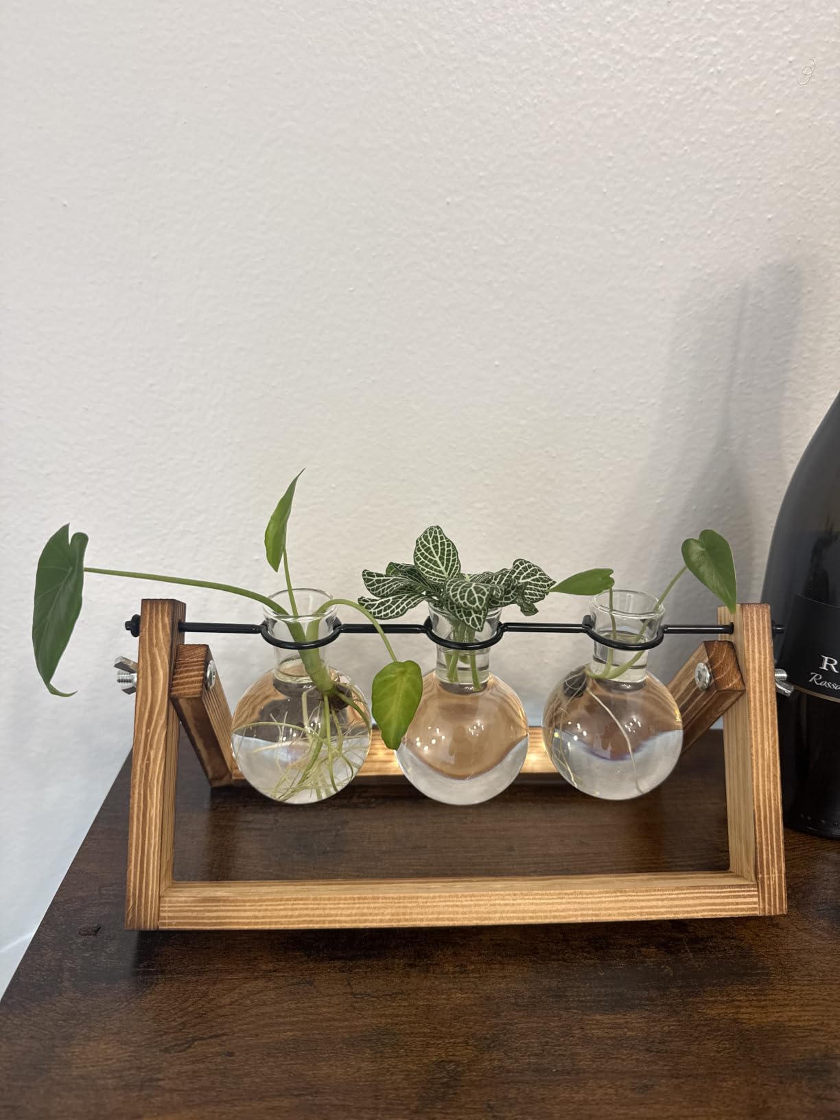Renmxj Plant Propagation Station, Plant Terrarium with Wooden Stand customer photo 2