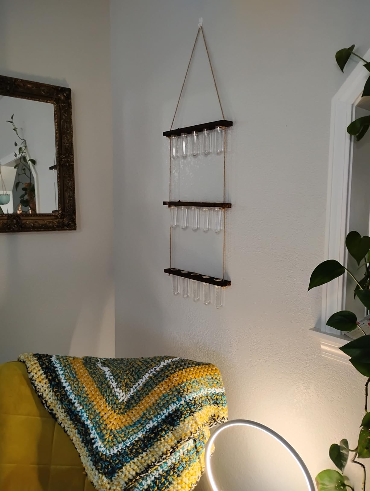 3 Tier Wall Hanging Propagation Stations with 15 Glass Test Tubes, Plant Terrarium Propagation Tubes Planter for Hydroponic Cuttings, Window Decor Gift for Plant Lovers customer photo 2