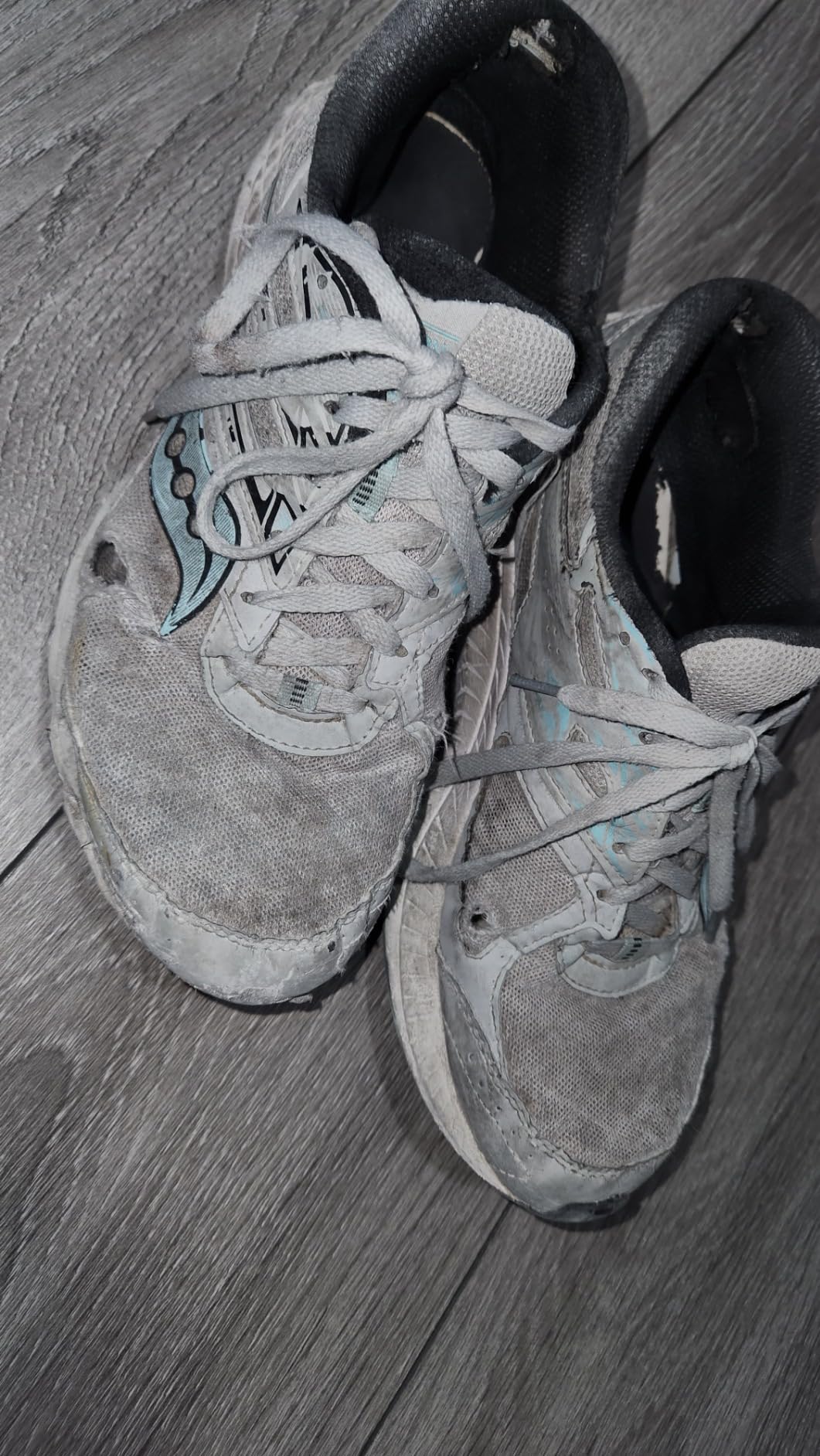 Saucony Women's Cohesion 13 Running Shoe customer photo 1