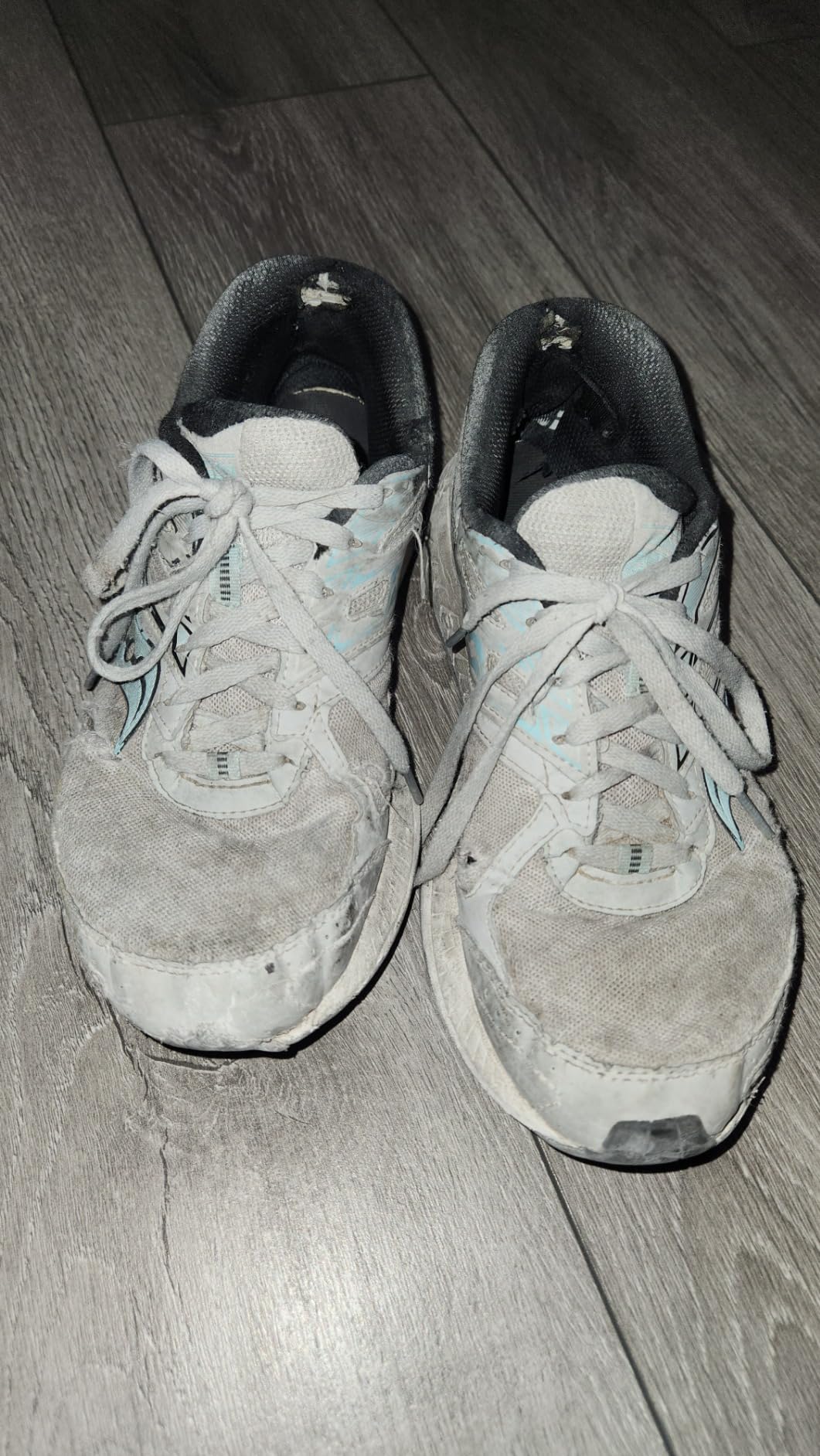 Saucony Women's Cohesion 13 Running Shoe customer photo 2