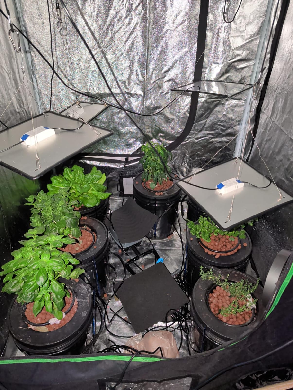 VIVOSUN DWC Hydroponics Grow System with Top Drip Kit 4 Buckets customer photo 1
