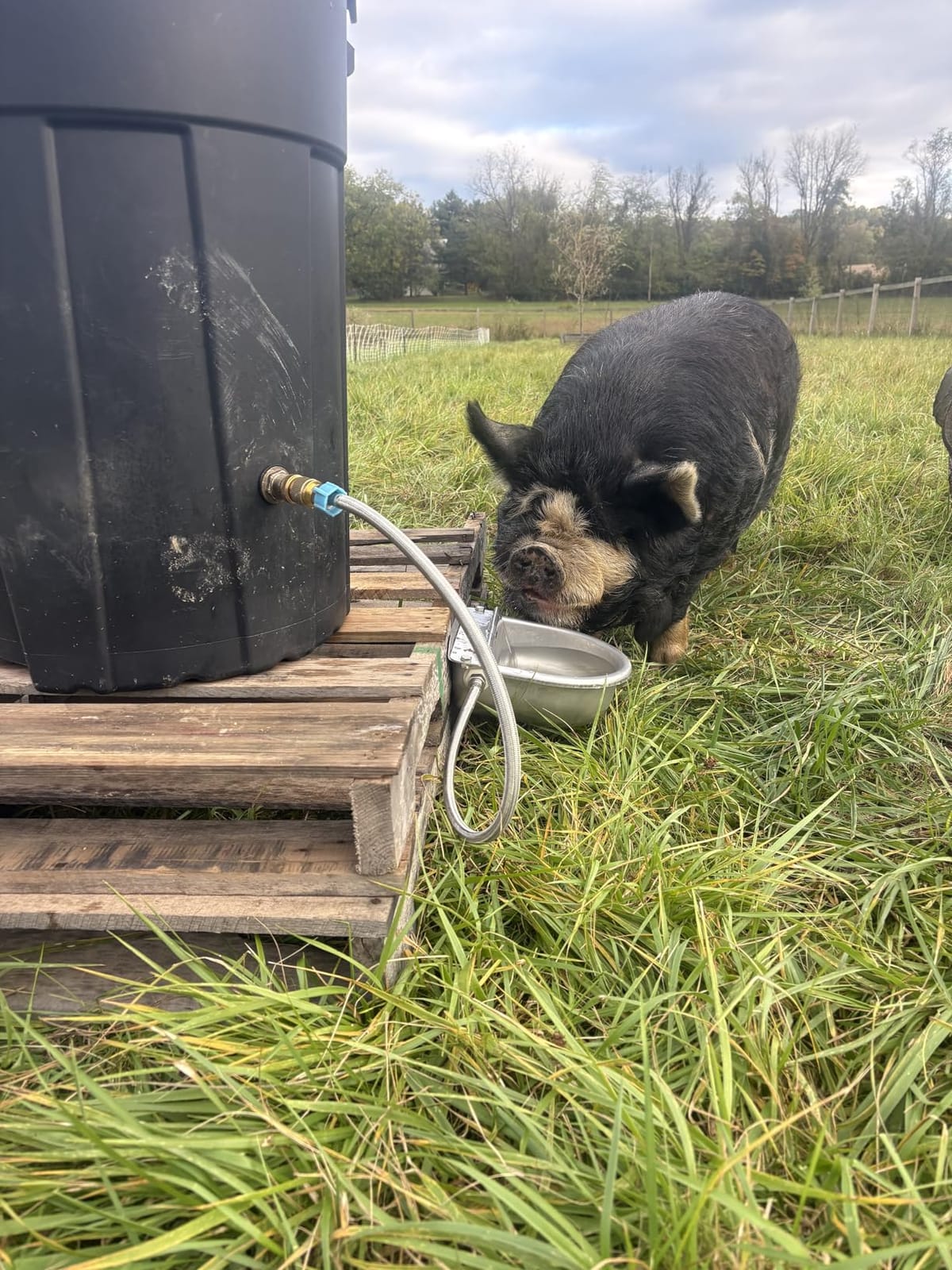 Ademon Automatic Animal Drinking Water Bowl with Float Valve, Standard Pipe,3L Stainless Steel Waterer Feeder Farm Dog Dispenser Kit Self Filling for Livestock Horse Goat Water Trough customer photo 2