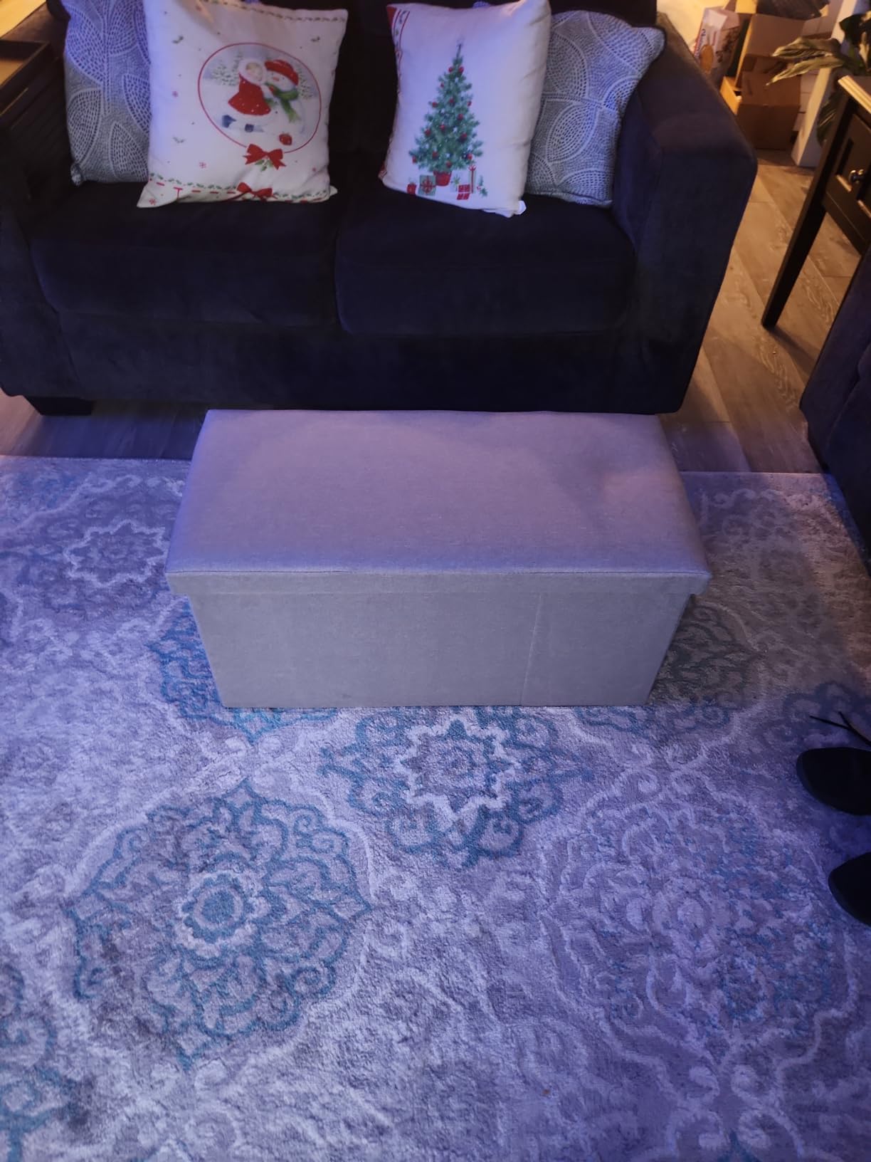 PINPLUS Ottoman with Storage Coffee Table, Grey Footrest-Stool Linen Chest with Tray, Large Storage Bench Foot Rest Ottoman for Bedroom End of Bed, Living Room, Hallway, 30