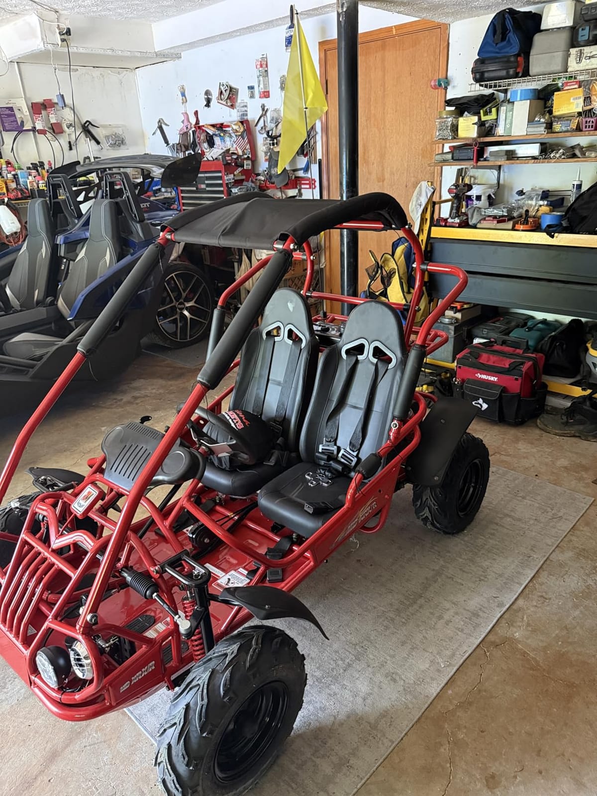 TRAILMASTER Mid XRX/R - Deluxe Go Kart Buggy with Reverse, Full roll cage and Safety Harness, Ages 10 and up, 196 CC Electric Start. (Pink) customer photo 1