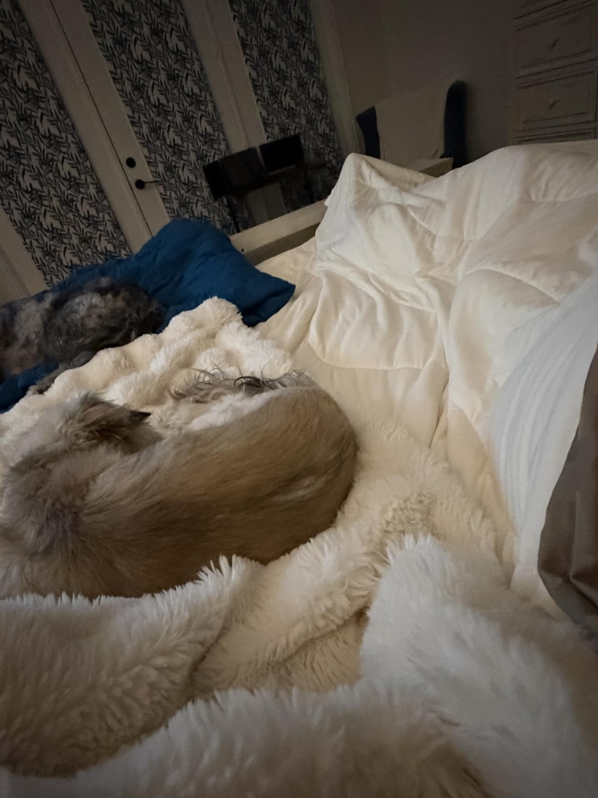 REST® Evercool® Cooling Comforter Blanket for Hot Sleepers, Full/Queen customer photo 2