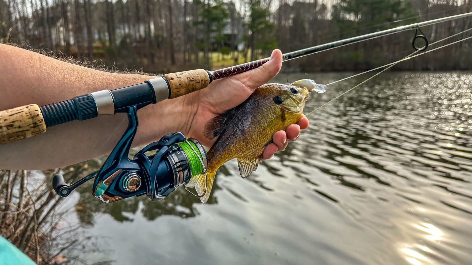 Shimano MIRAVEL Spinning ReelsFishing customer photo 2