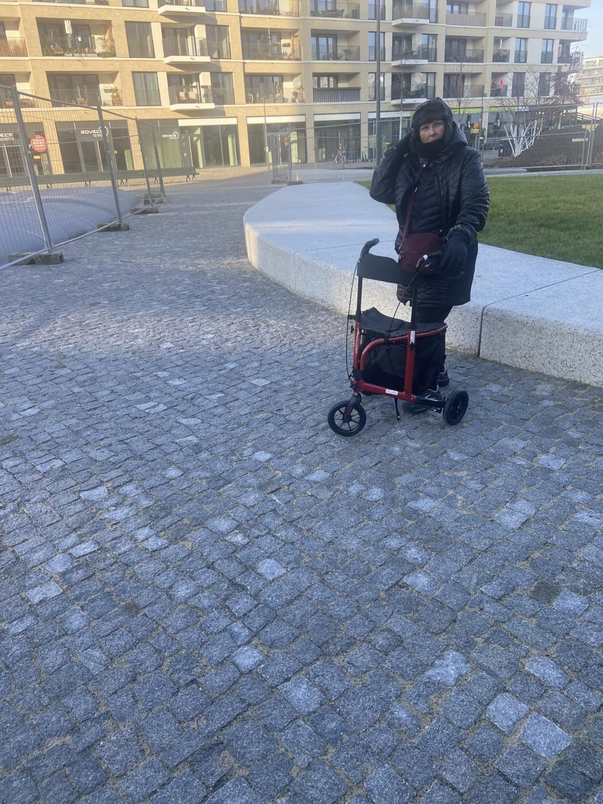 Walk Mate 3 Wheel Rollator Walker with Seat for Slim Seniors, Padded Backrest Lightweight Foldable Travel Walker Ideal for Elderly, 8 Inch Tri-Wheel Modern Mobility Walking Aid Aluminum, Green customer photo 1