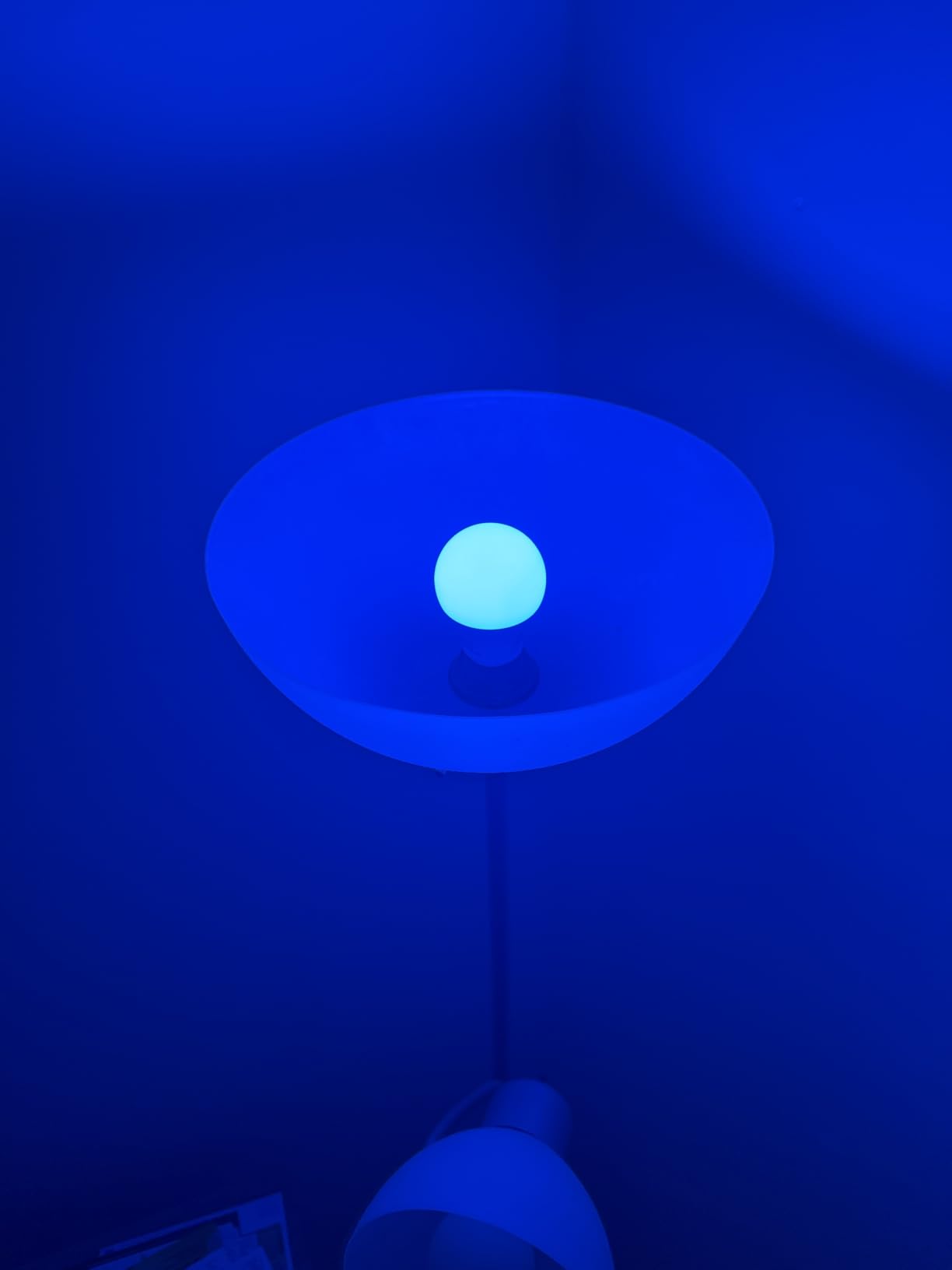 OREiN Matter Smart Light Bulb, A19 RGBTW Color Changing Light Bulbs, 4 Pack customer photo 2
