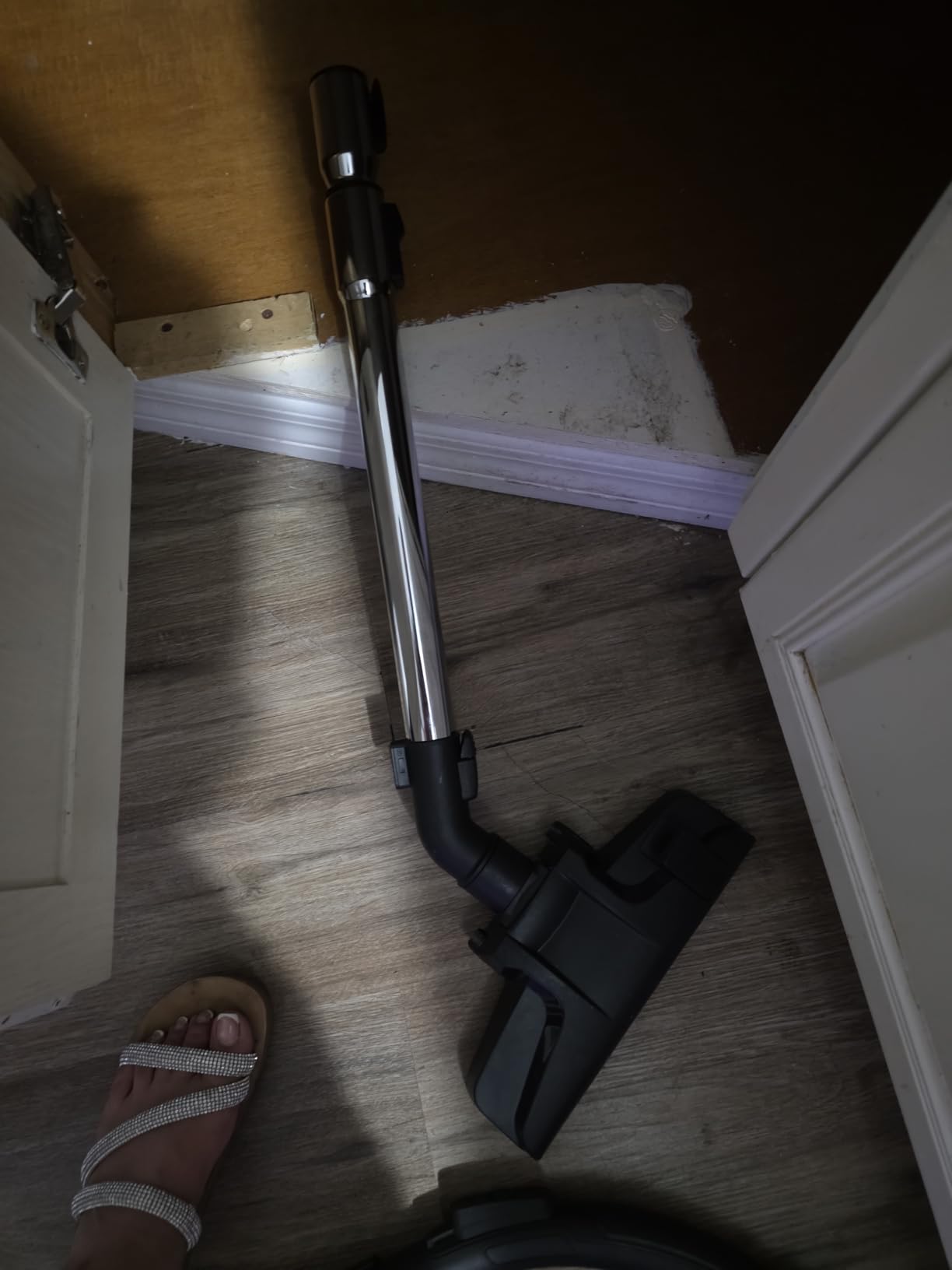 Eureka Bagless Canister Vacuum Cleaner, Vacuum for Hardwood Floor, Carpet customer photo 1
