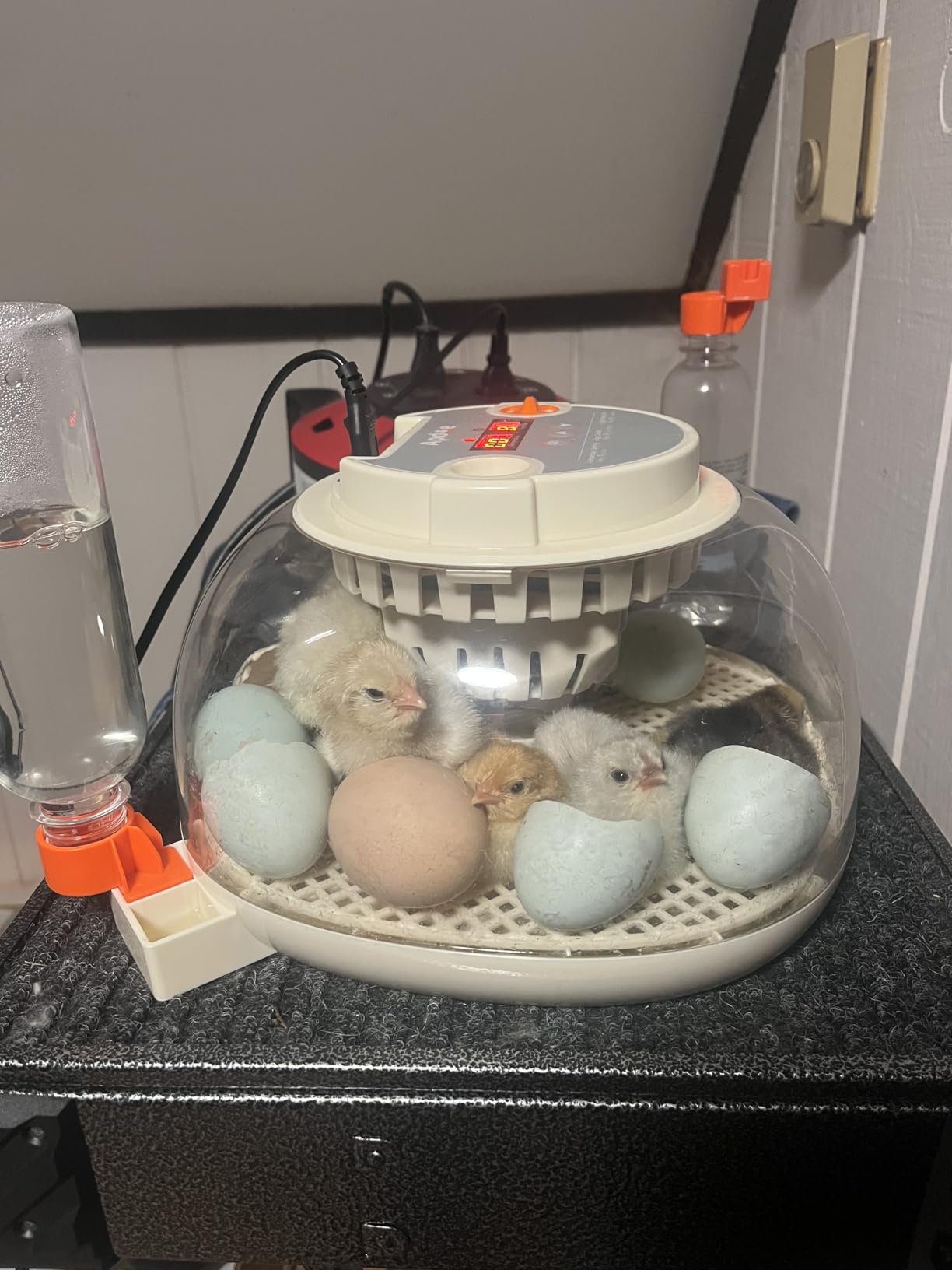 APDOE Egg Incubators for Hatching Eggs, Temperature and Humidity Control, Automatic Egg Turning, Egg Candler, External Water Bottle, Air Vent, for Chicken, Duck & Quail Eggs, 12 Eggs customer photo 2