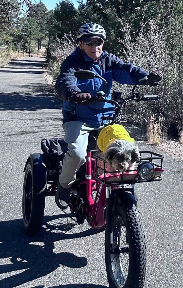 Electric Trike for Adult with 960W Peak Motor, 48V 17.4AH Cells Battery, Pickup Class 500 LB Load Electric Tricycle with 20