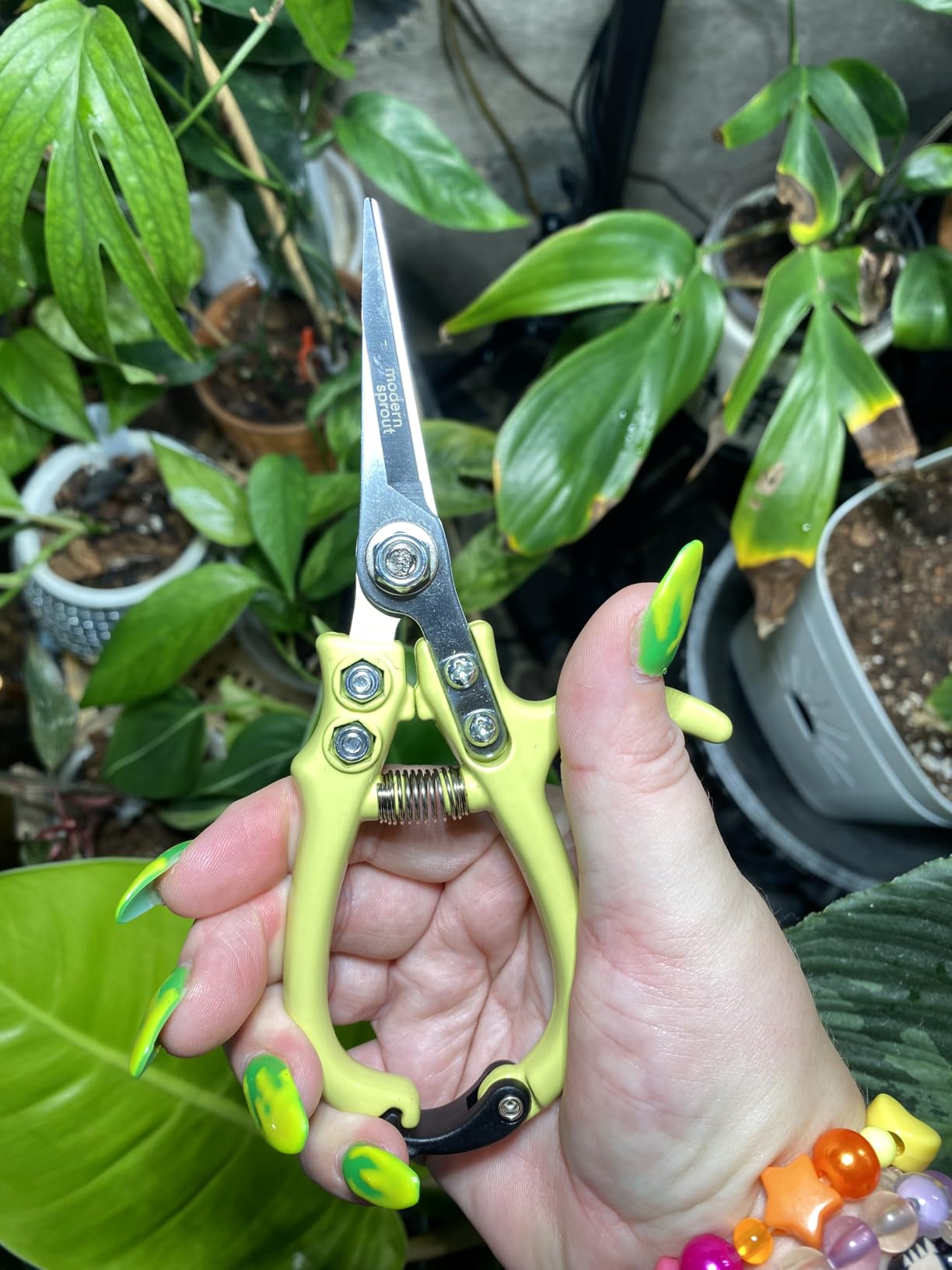 Modern Sprout Pruning Shears - Garden Snips - Herb Scissors - Sage 1-Pack customer photo 1