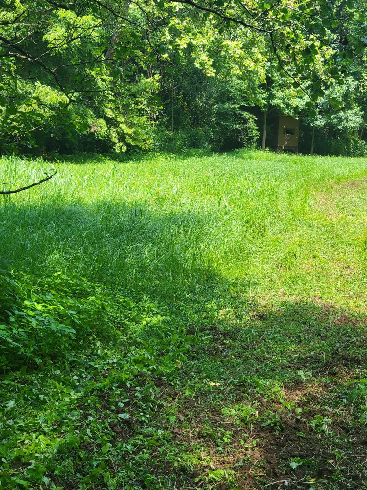 YINTATECH 28