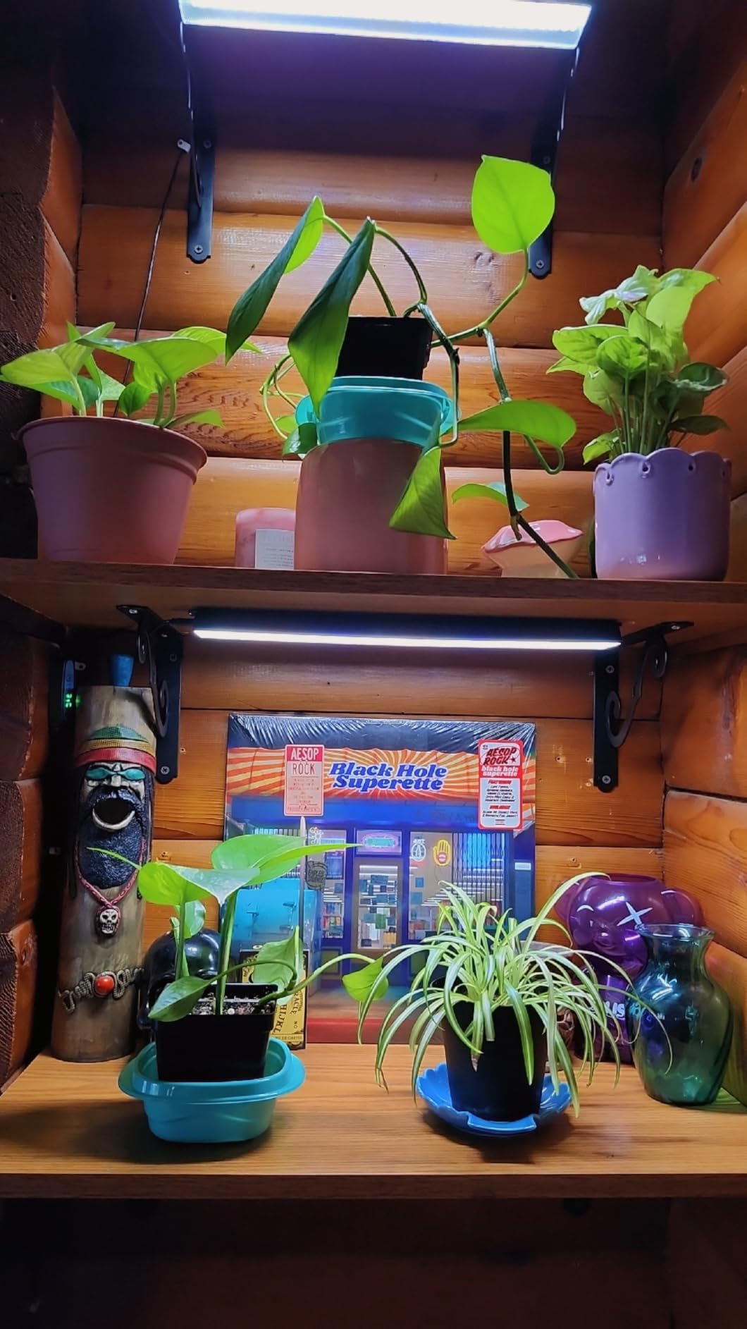Wolezek 14in Grow Light Strip for Indoor Plants, Full Spectrum customer photo 1