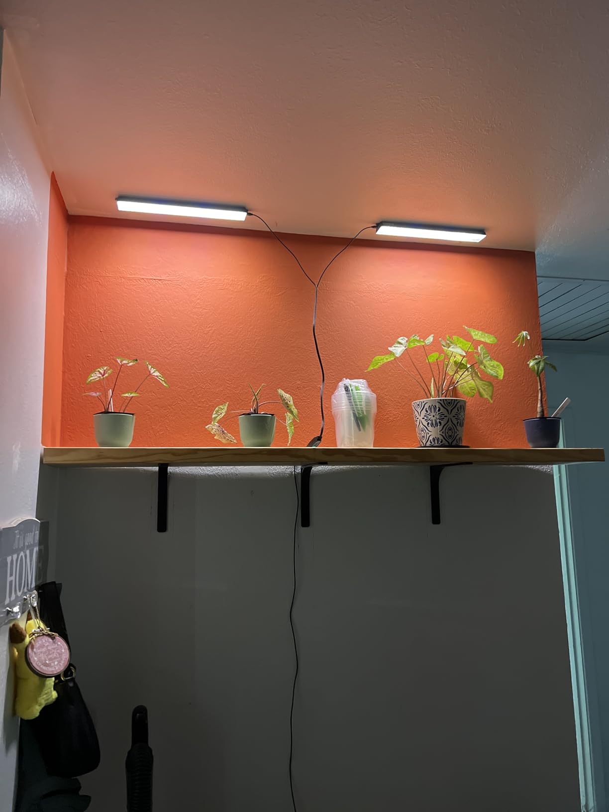 Wolezek 14in Grow Light Strip for Indoor Plants, Full Spectrum customer photo 2