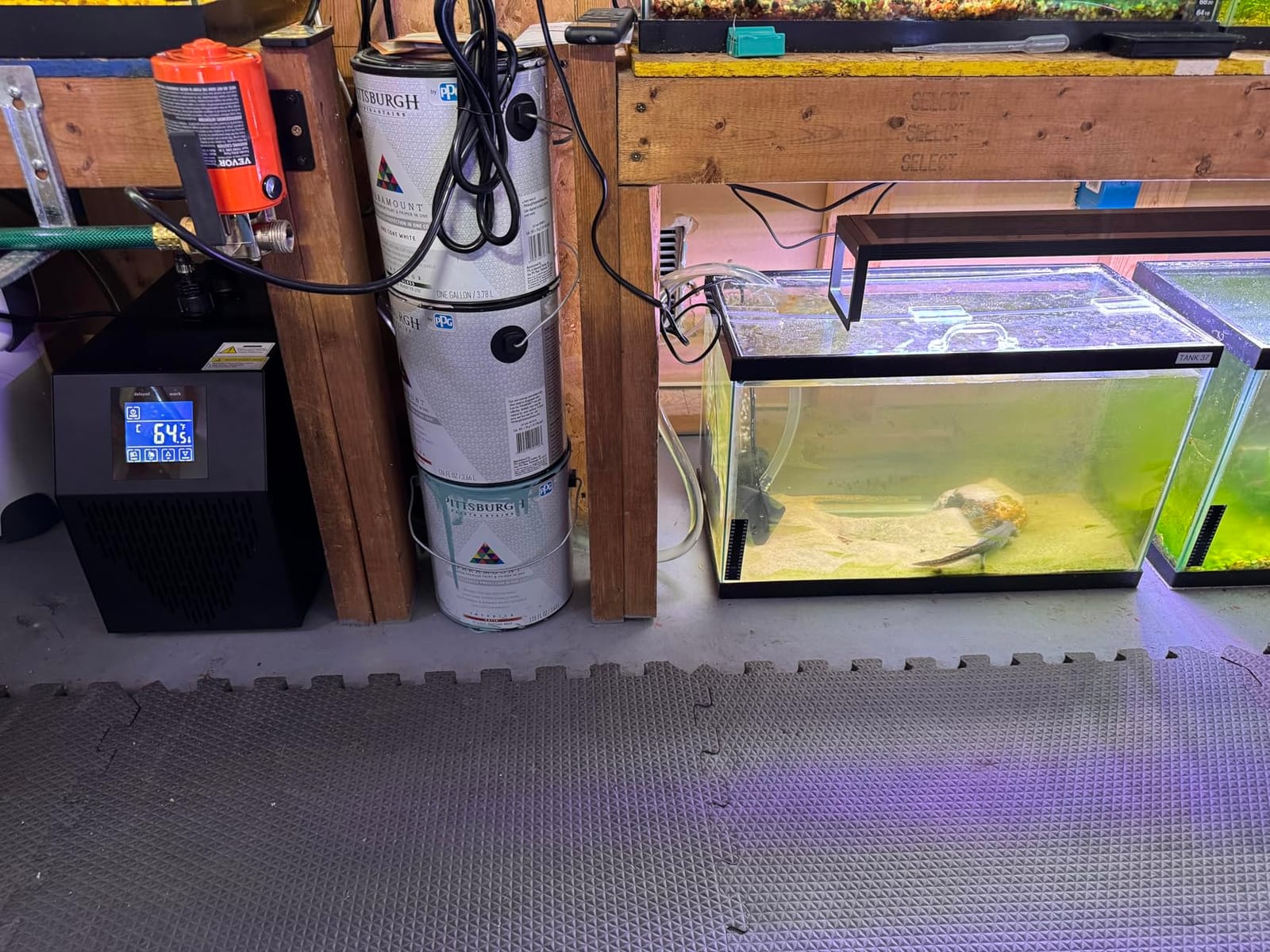 Aquarium Chiller 42 Gal, 1/10 HP Fish Tank Water Chiller Machine customer photo 1