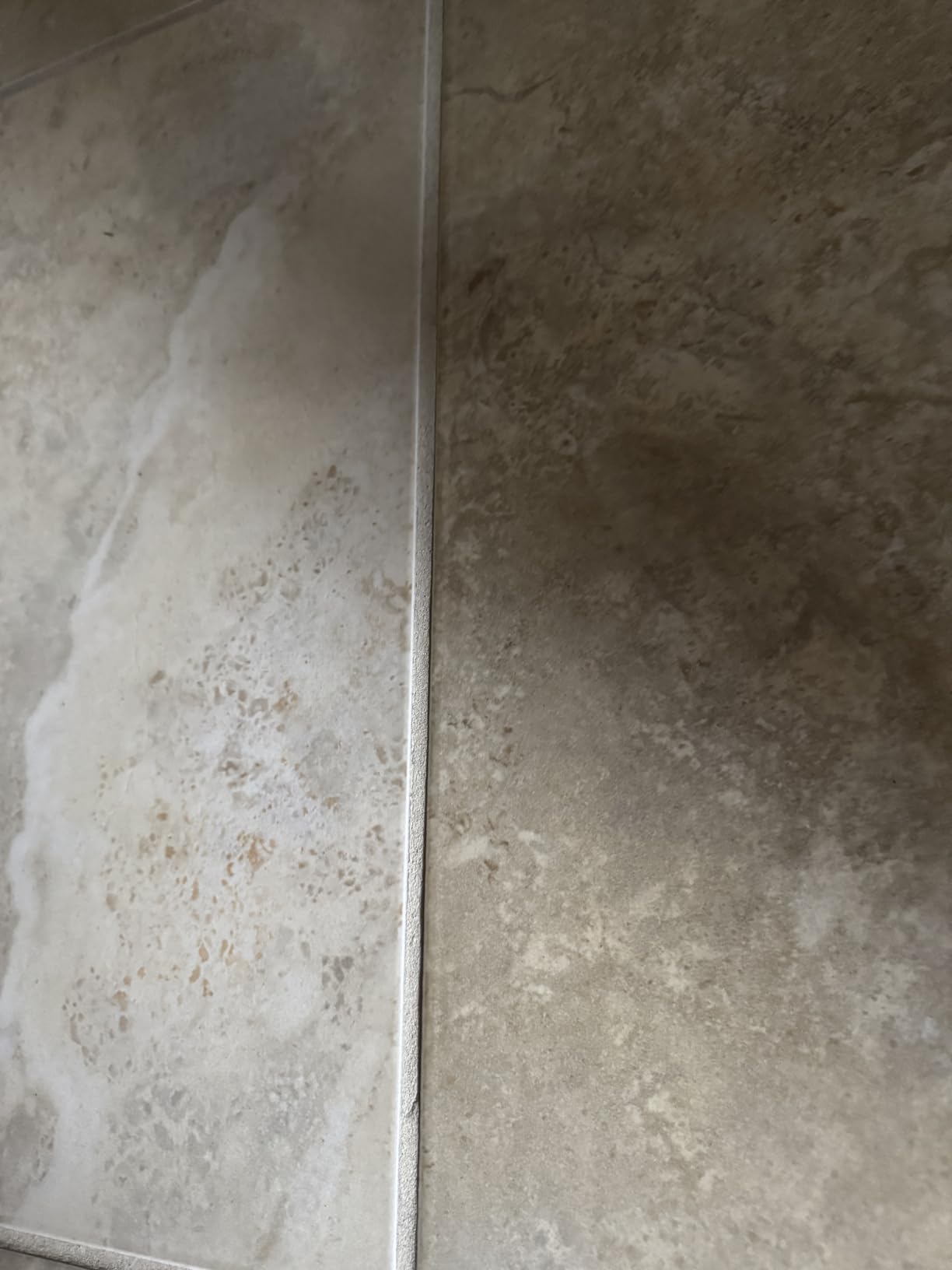 Schenley Steam Mop for Hard Floors, 15s Fast Heat-Up, Compact customer photo 1