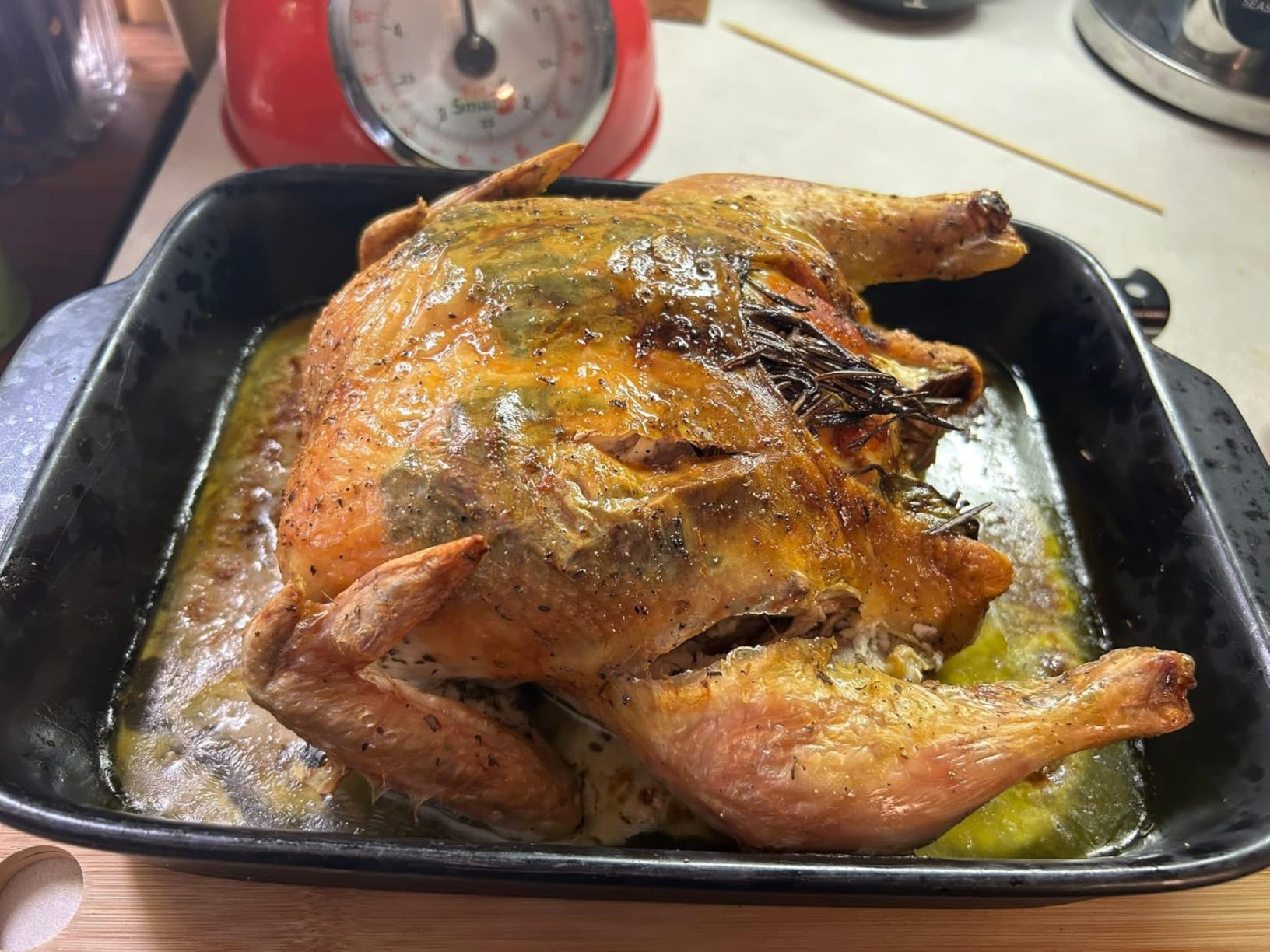 CIARRA 12-in-1 Countertop Steam Oven with Air Fryer, 25.4QT Nosh Oven Pro customer photo 1