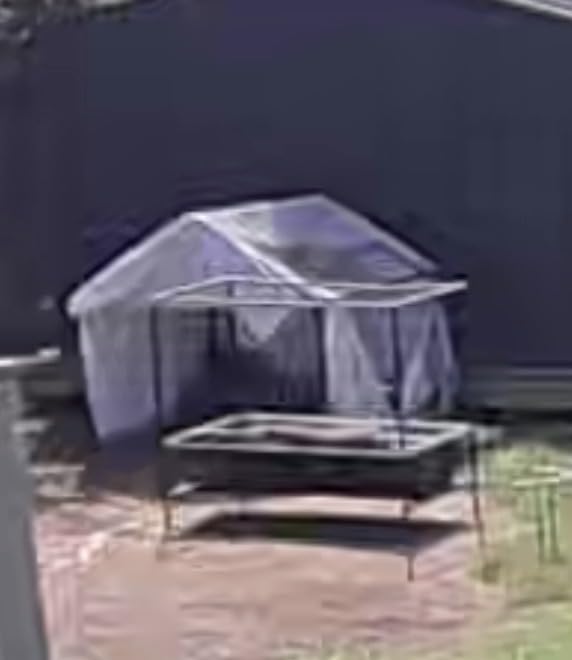 Goat Shelter for Outside, Portable for 2 Goats, 49 x 49 x 43 in Metal Frame customer photo 1