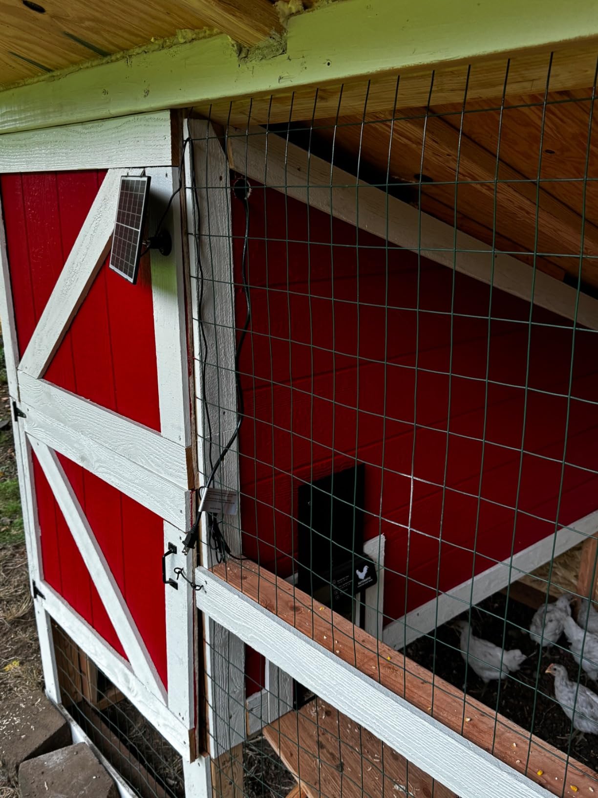 INNOLAND Large Size Automatic Chicken Coop Door - Reinforced Gear Drive customer photo 1