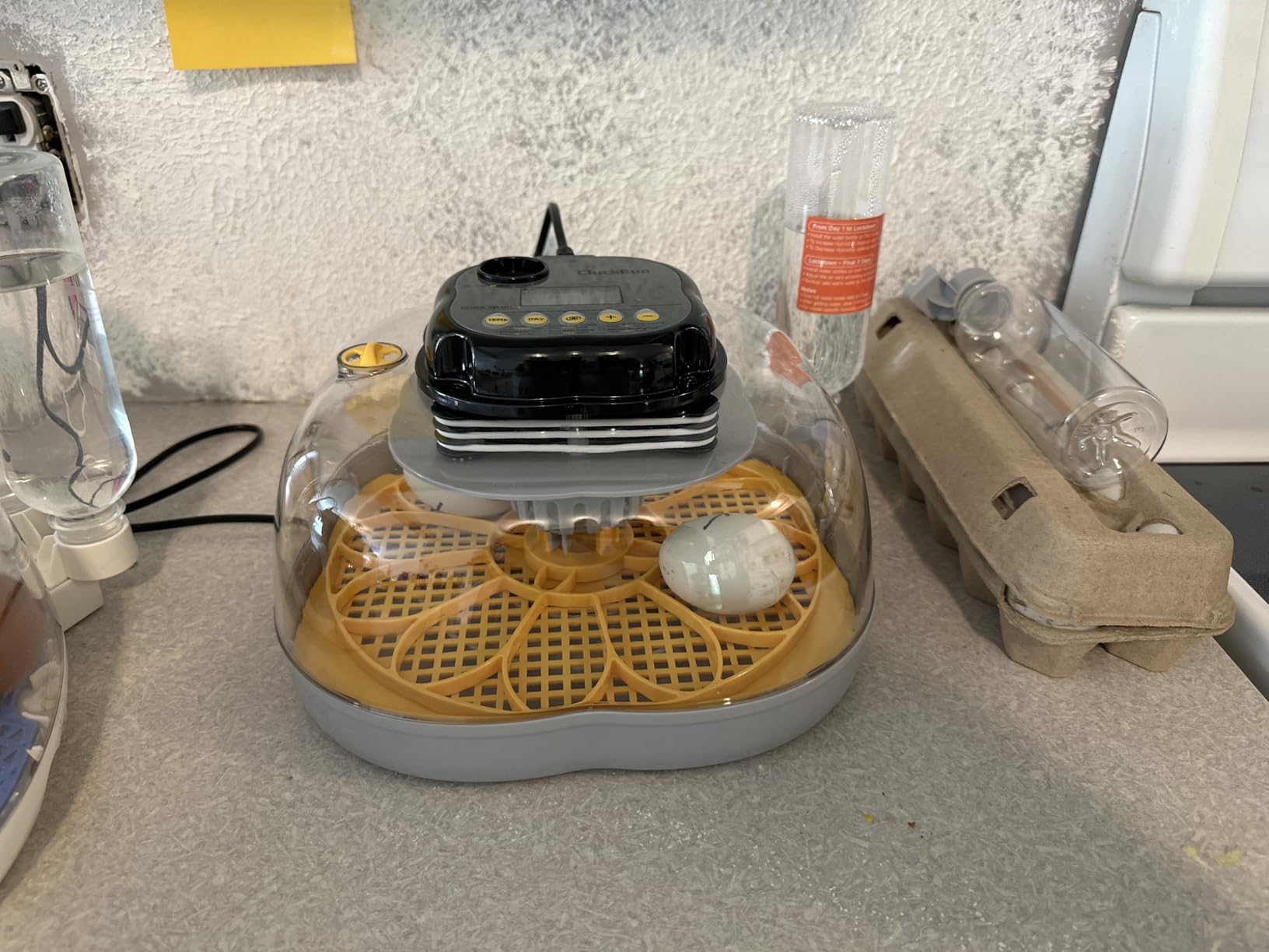 Egg Incubators for Hatching Eggs, 18 Chicken or 8 Large Eggs Incubator customer photo 2