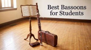 Best Bassoons for Students
