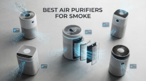 best air purifiers for smoke