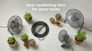 best oscillating fans for grow tents