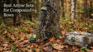 Best Arrow Sets for Compound Bows