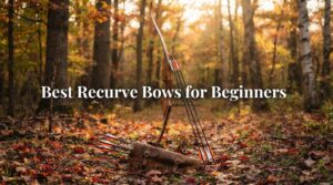 Best Recurve Bows for Beginners