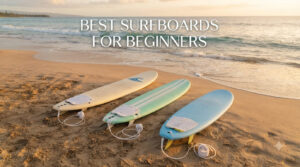 Best Surfboards for Beginners